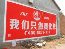大关刷墙广告”蕴含了时代命题