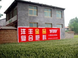 大关如何让墙体广告展现最大化效果