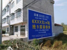 大关墙体广告质量分析
