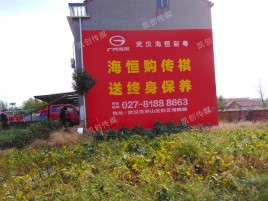 大关农村墙体广告给农村人民带来方便