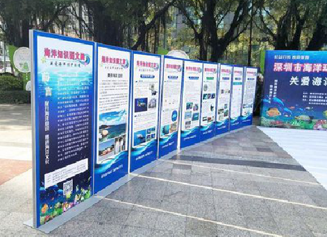 大关KT板的种类和知识。